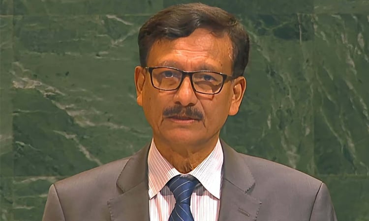 February 4 2025/image- dw.jpg